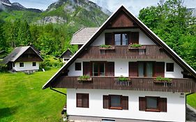 Sobe In Apartmaji Pri Ukcu Bohinj